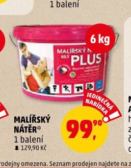 MALÍŘSKÝ NÁTĚR*