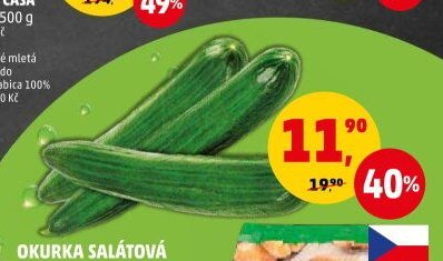 OKURKA SALÁTOVÁ