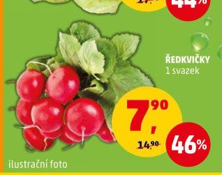 Ředkvičky