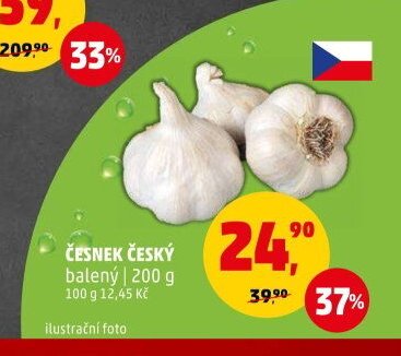 Česnek český