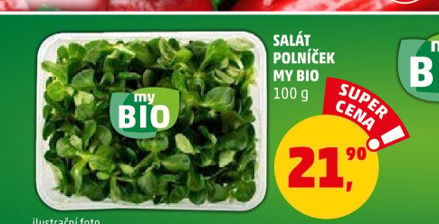 Salát polníček My BIO