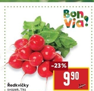 Ředkvičky svazek Billa Bonvia