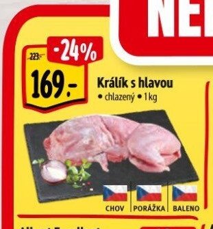 Králík s hlavou