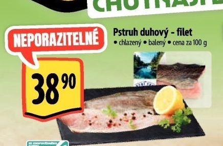 Pstruh duhový filet Albert