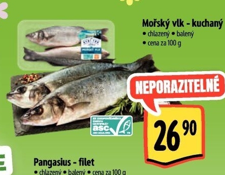 Vlk mořský kuchaný Albert