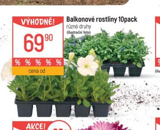 Balkonové rostliny 10pack