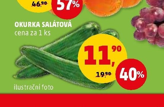 OKURKA SALÁTOVÁ cena za 1 ks