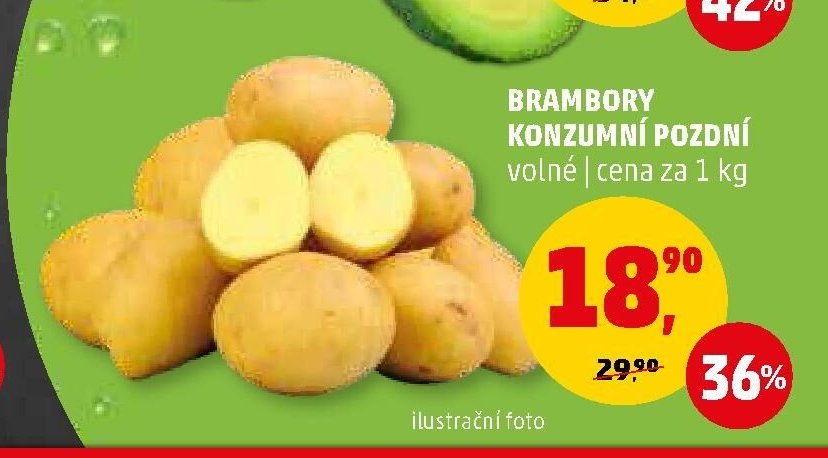 Brambory konzumní pozdní