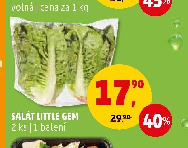 Salát Little Gem