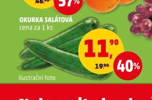 Okurka salátová