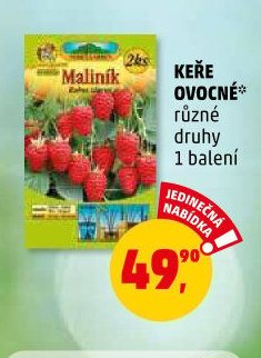 KEŘE OVOCNÉ různé druhy