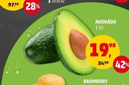 Avokádo