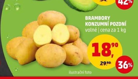 Brambory konzumní pozdní