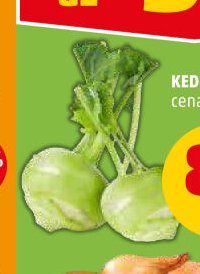 KEDLUBNA