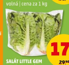 SALÁT LITTLE GEM