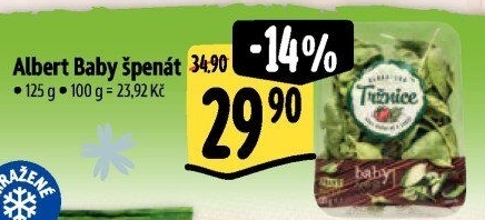 Špenát baby Albert