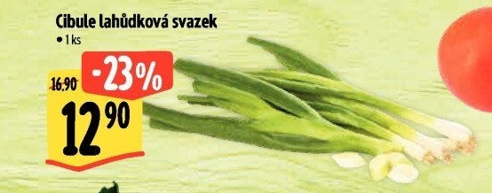 Jarní cibule svazek