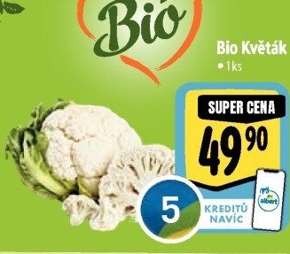 Květák bio