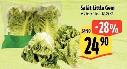 Salát little gem