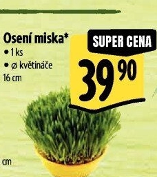 Velikonoční osení