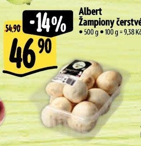 Žampiony Albert