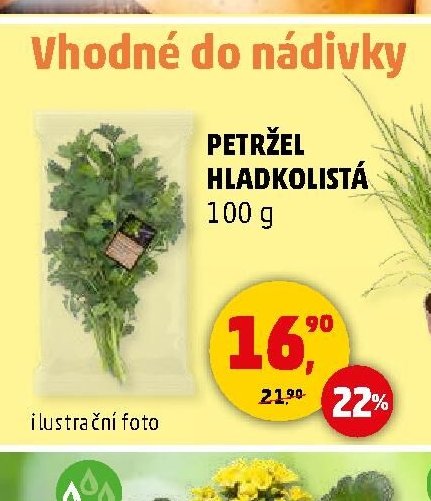 PETRŽEL HLADKOLISTÁ 100 g