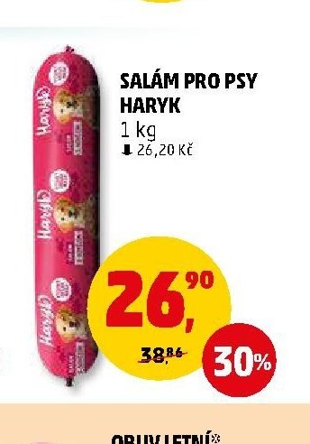 SALÁM PRO PSY HARYK