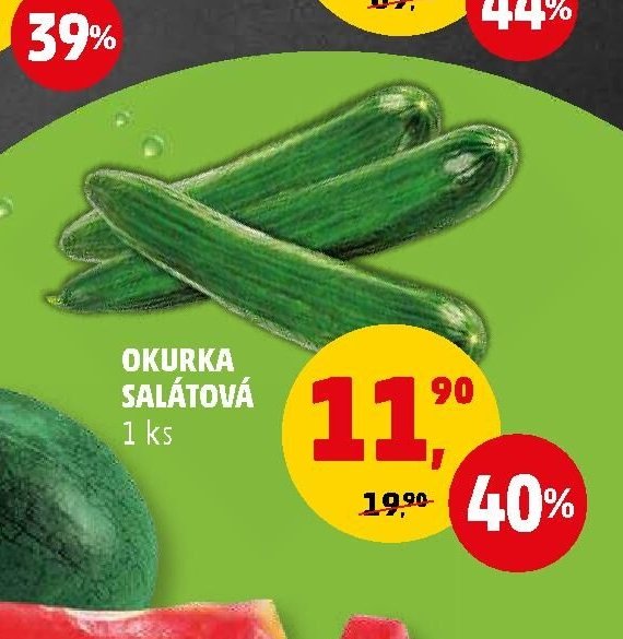 Okurka salátová 1 ks