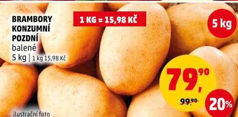 Brambory konzumní pozdní