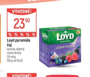 Loyd pyramida čaj