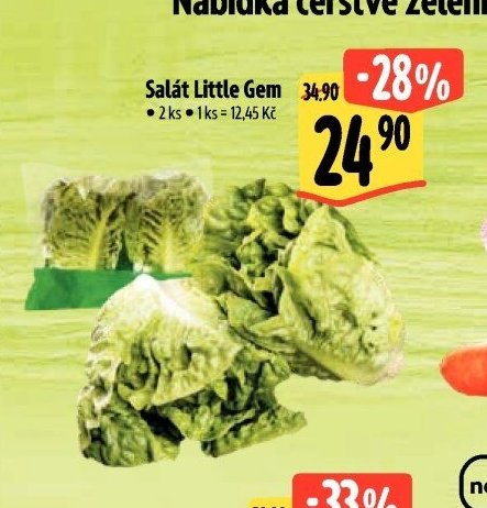 Salát Little Gem