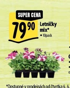 Letničky mix