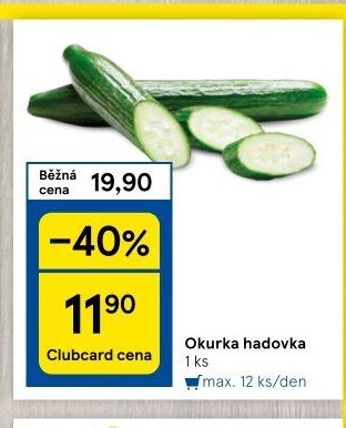 Okurka hadovka