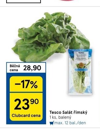 Tesco Salát římský