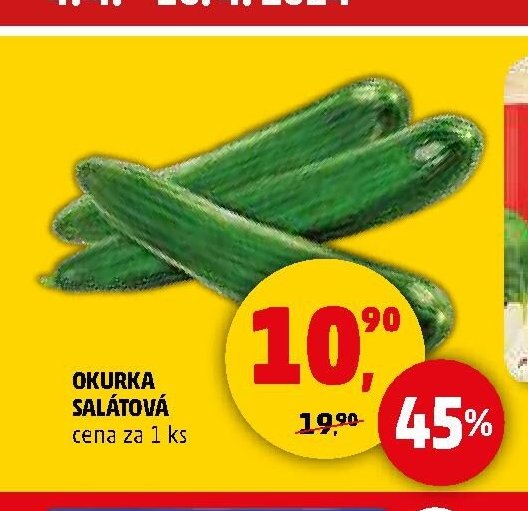 Okurka salátová