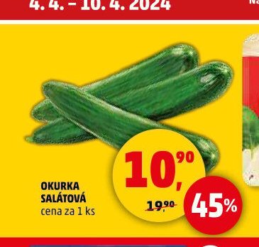 Okurka salátová