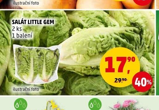 Salát Little Gem 2 ks