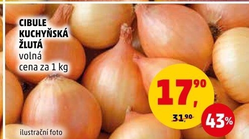 Cibule kuchyňská žlutá