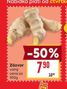 Zázvor