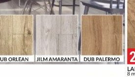 DUB ORLEAN, JILM AMARANTA, DUB PALERMO