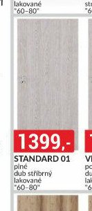 Dveře Standard 01, dub stříbrný lakované