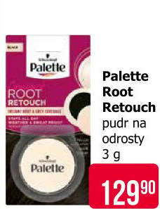 Pudr kompaktní Root Retouch Palette Schwarzkopf