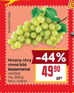 Hrozny révy vinné bílé bezsemenné