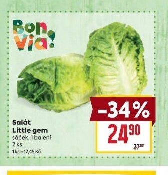 Salát Little gem