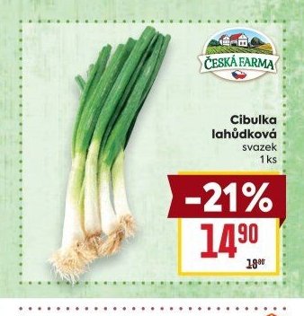 Cibulka lahůdková