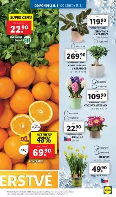 akční leták Lidl 13.1.2025-19.1.2025