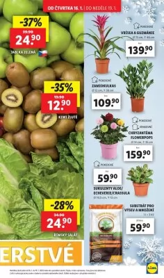 akční leták Lidl 16.1.2025-19.1.2025