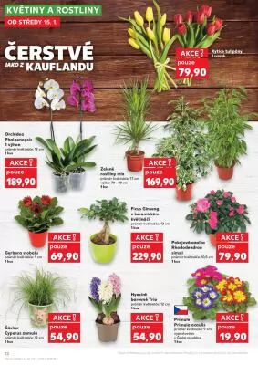 akční leták Kaufland 15.1.2025-21.1.2025