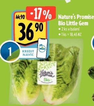 Salát little gem bio Nature'