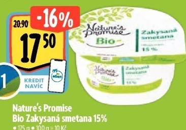 Zakysaná smetana 15% bio Nature'